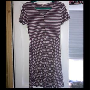 Pink Rose Button Down-Striped Dress